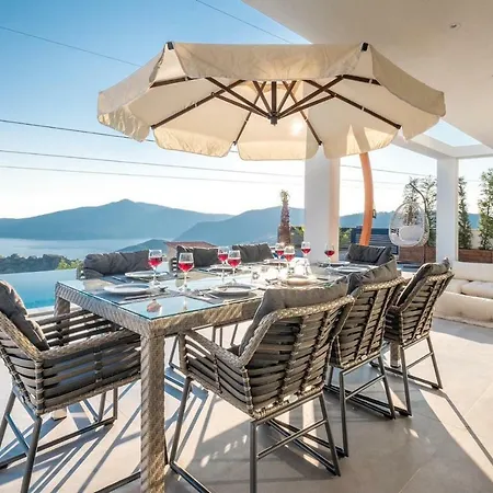 Viola - * Kalkan